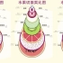 杭州玛莉亚妇产：用水果示意宫口开十指生娃的场景