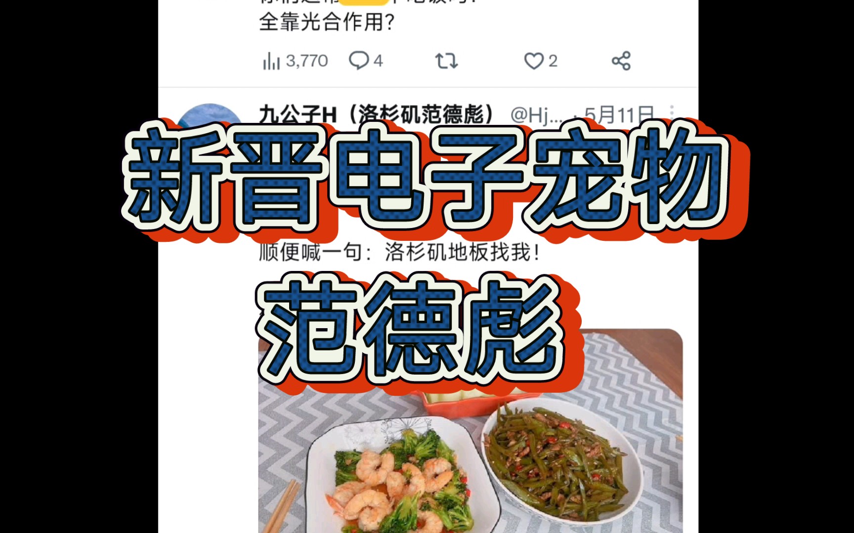 电子宠物之范德彪（一）在美国的丁胖子广场励志打工人，拒绝躺平、拒绝领救济粮主页修地板，扬言要干他一万尺的地板。真的励志！-账号已注销-账号已 ...