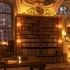 【白噪音】超长8小时丨在古典风格的图书馆里学习（壁炉烧木柴&窗外下着雪）