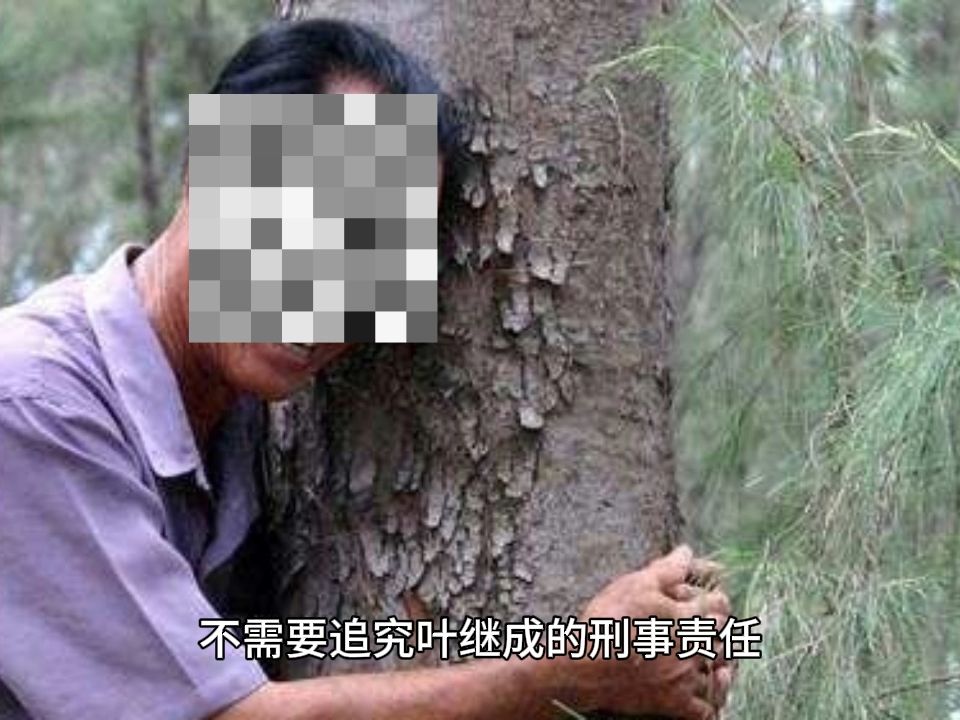 最高人民法院第36批指导案例——指导性案例209号：浙江省遂昌县人民检察院诉叶继成生态破坏民事公益