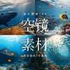 可商用视频素材｜海底世界海洋生物自然生态环境