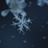 【空镜】雨|雪|水珠|雪花|冰晶