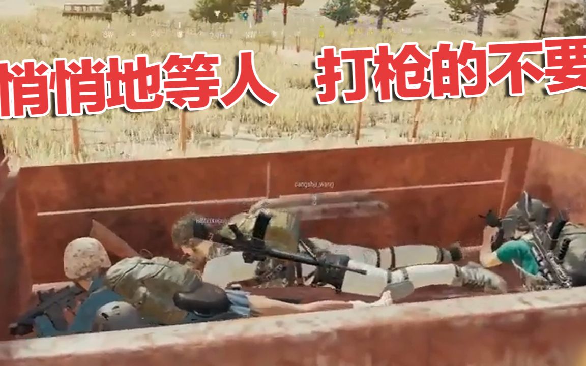 视频王唯一之间~其他的都是假王账号的鹦鹉迷你仓鼠鱼3条会不会打死图片
