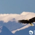 「卓特视觉版权素材」之山川湖海自然风景剪辑视频素材