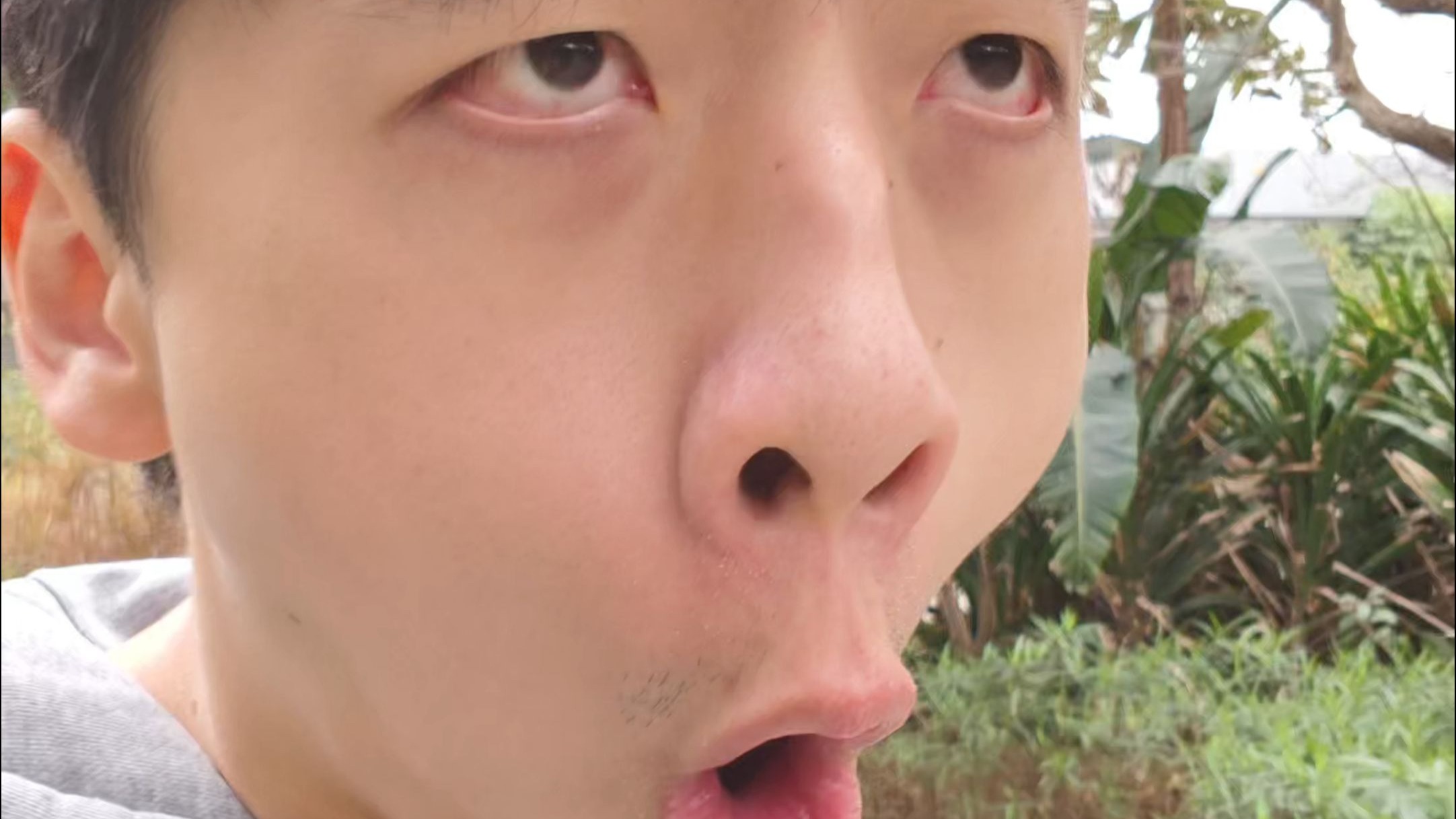 记录小生活的蛋黄派