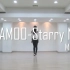 MAMAMOO - Starry Night 舞蹈教学镜面分解 （共5parts）