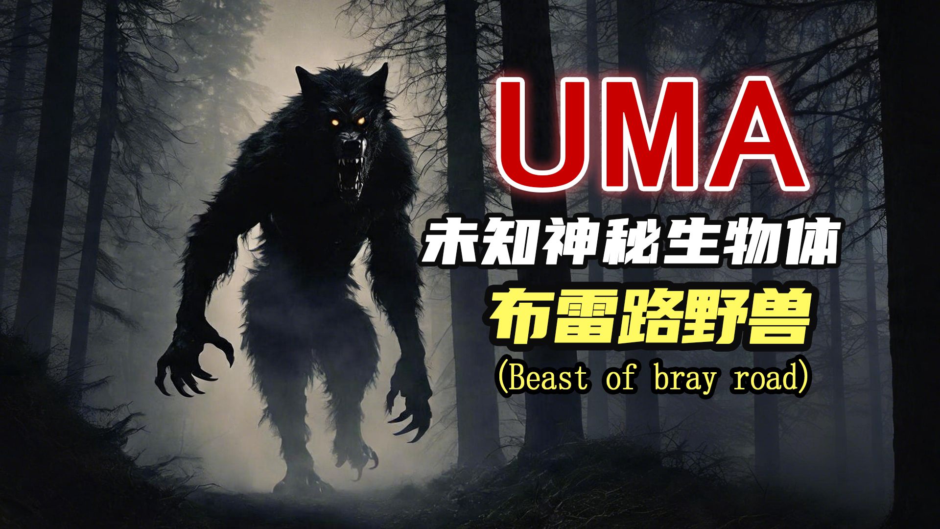 【UMA系列】第七十八期：北美狼人
