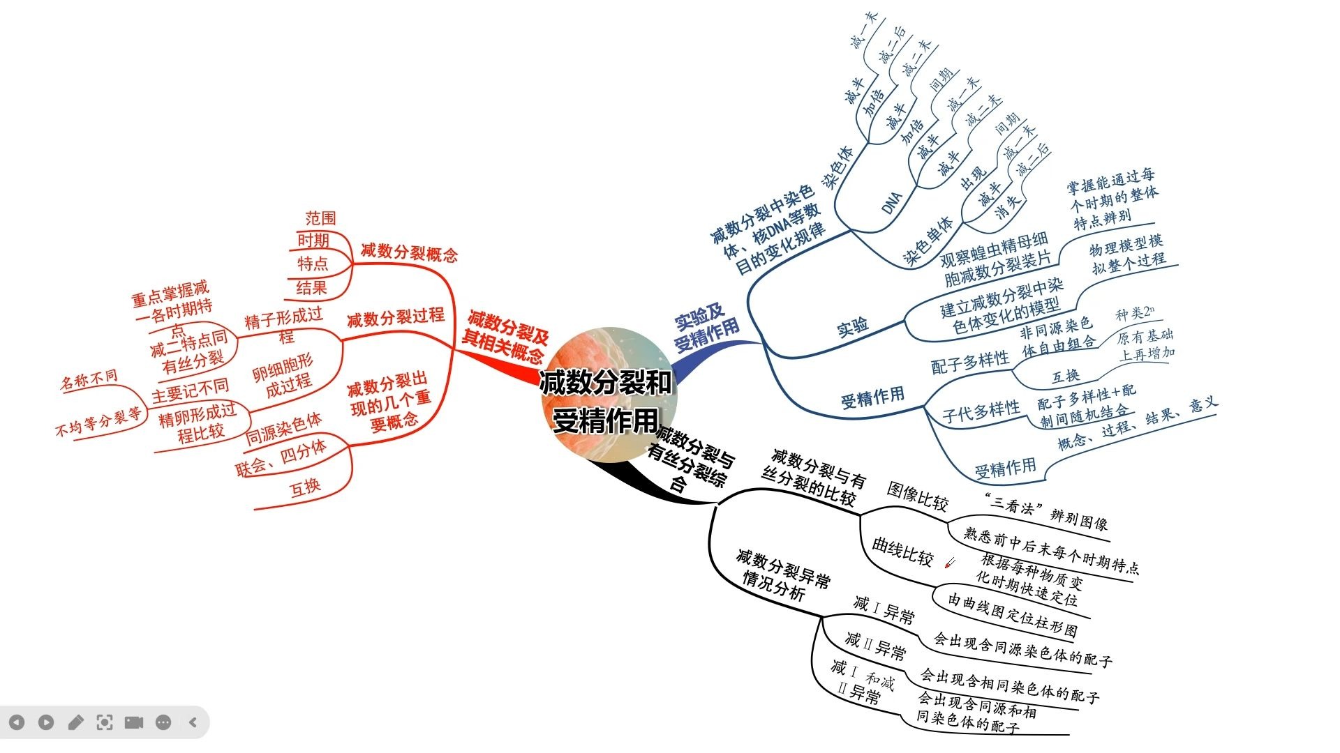 减数分裂异常情况分析