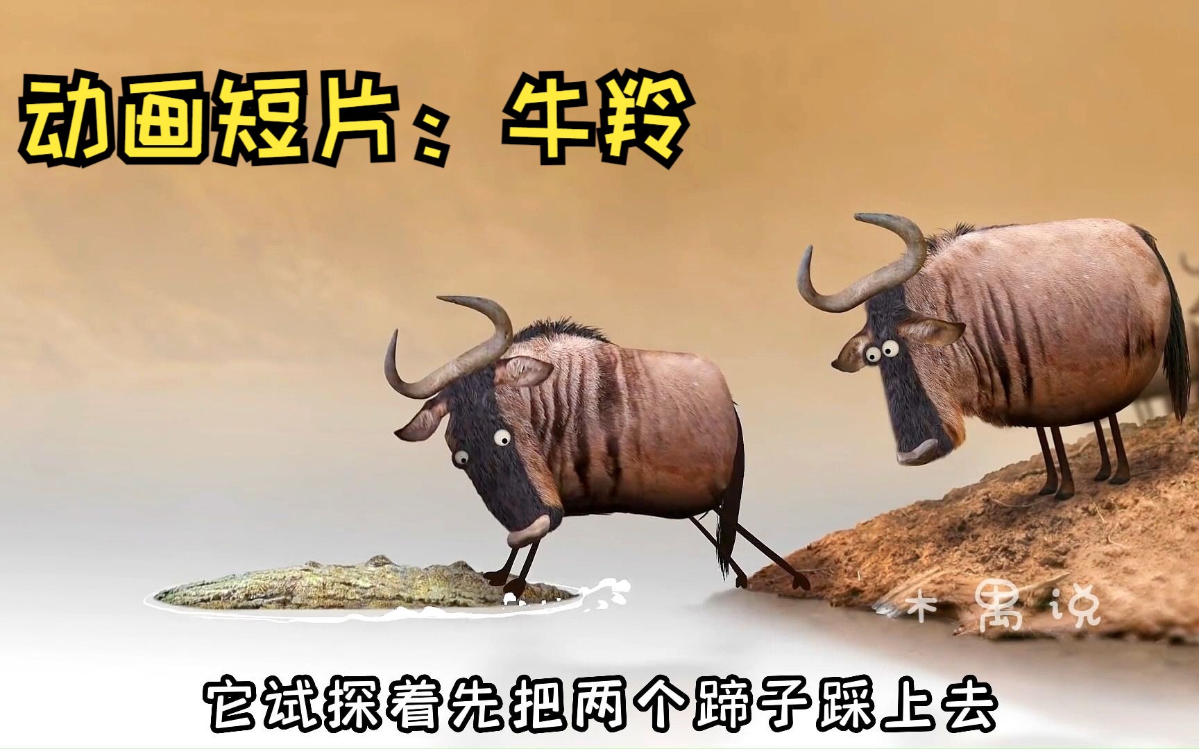 傻猪猪2021牛年新年壁纸头像_zhangweijian6-站酷ZCOOL