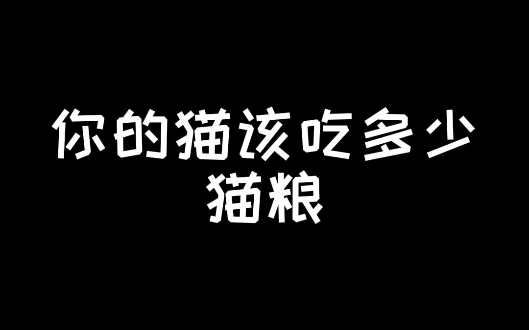 要知道的猫到底该吃多少~别乱喂！