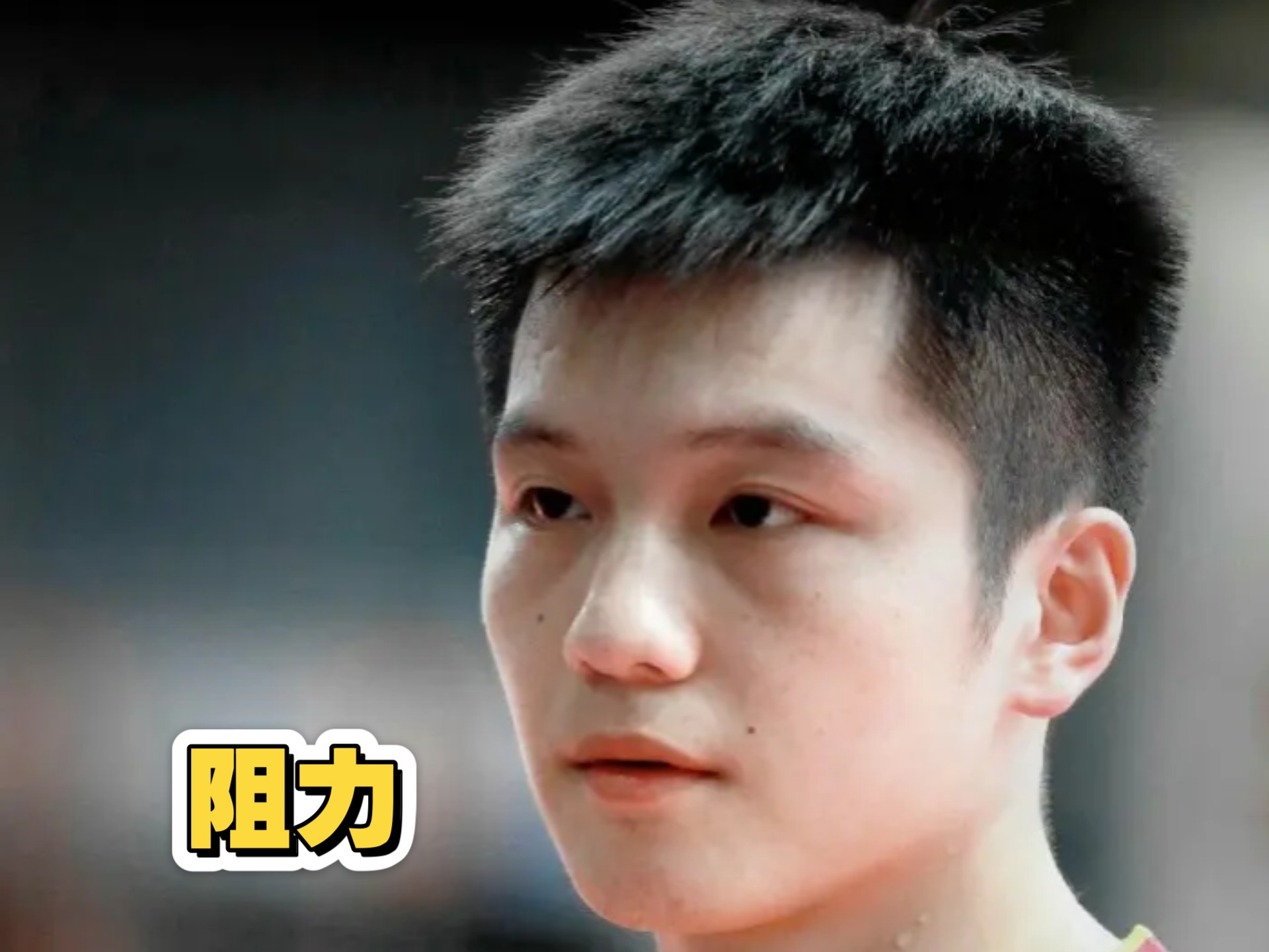 国际乒协态度很明确 樊振东要想打奥运会 就回来给我挣钱打WTT 要么就去打资格赛