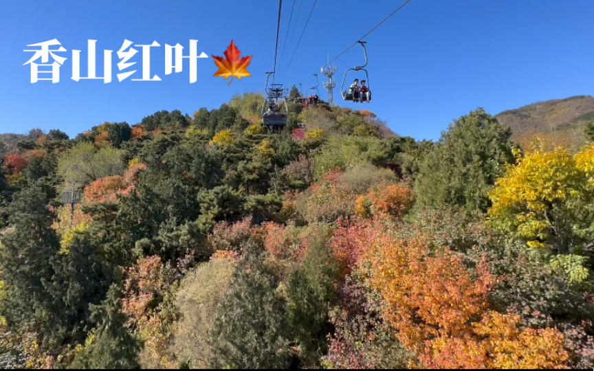 北京香山索道看红叶-2022.10.22