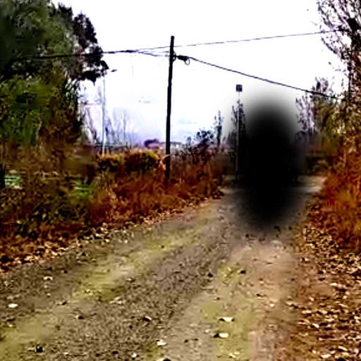 【阈限空间】I have no regrets this life for stepping into the beauty of liminal space.