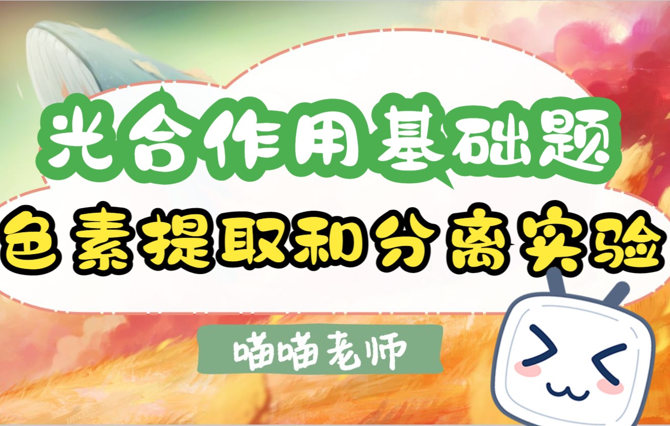 光合作用基础题及色素提取和分离实验 | 题型总结【高中生物必修1】