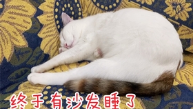 一只鸡胸热量 ebbc561c266b6ef09a6ab78885384e5908ceaff8.jpg@280w_158h_1c_100q.jpg