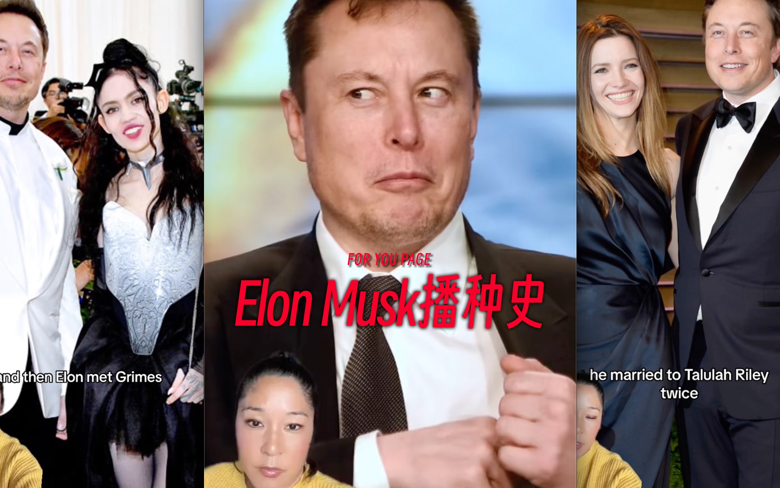 funny-animals-funny-animals