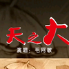 《天之大》完整版 毛阿敏原唱 深情的演绎，浓重的情感，祝福天下母亲身体康健，老有所乐