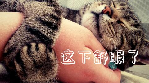 ebd99164df8a1afca37784691b8c2642c80e949f.jpg@480w_270h_1c