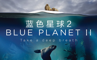 唯美纪录片蓝色星球2片段s01e01-5-blue planet ii自然纪录片bbc首播