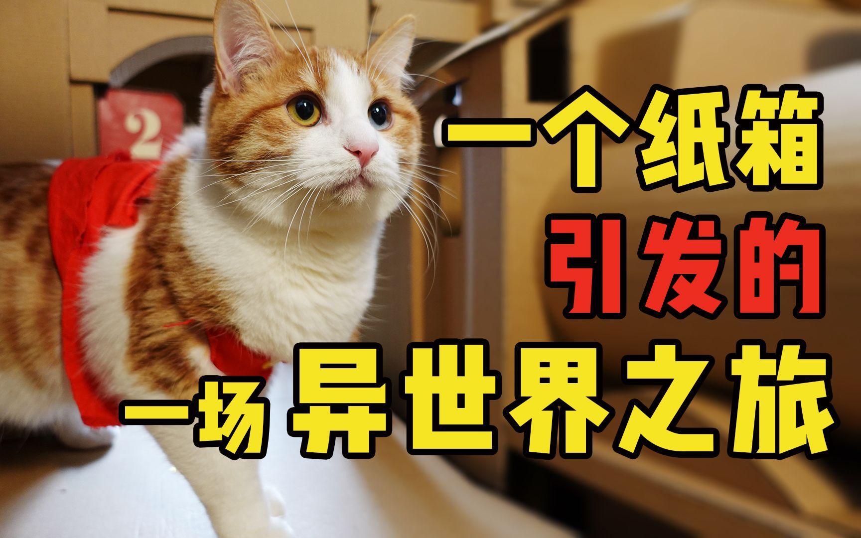 纸箱猫剧 耗时三个月精心打造猫咪小世界 一封离奇信件引出惊天大案 列车奇谋第一集 哔哩哔哩