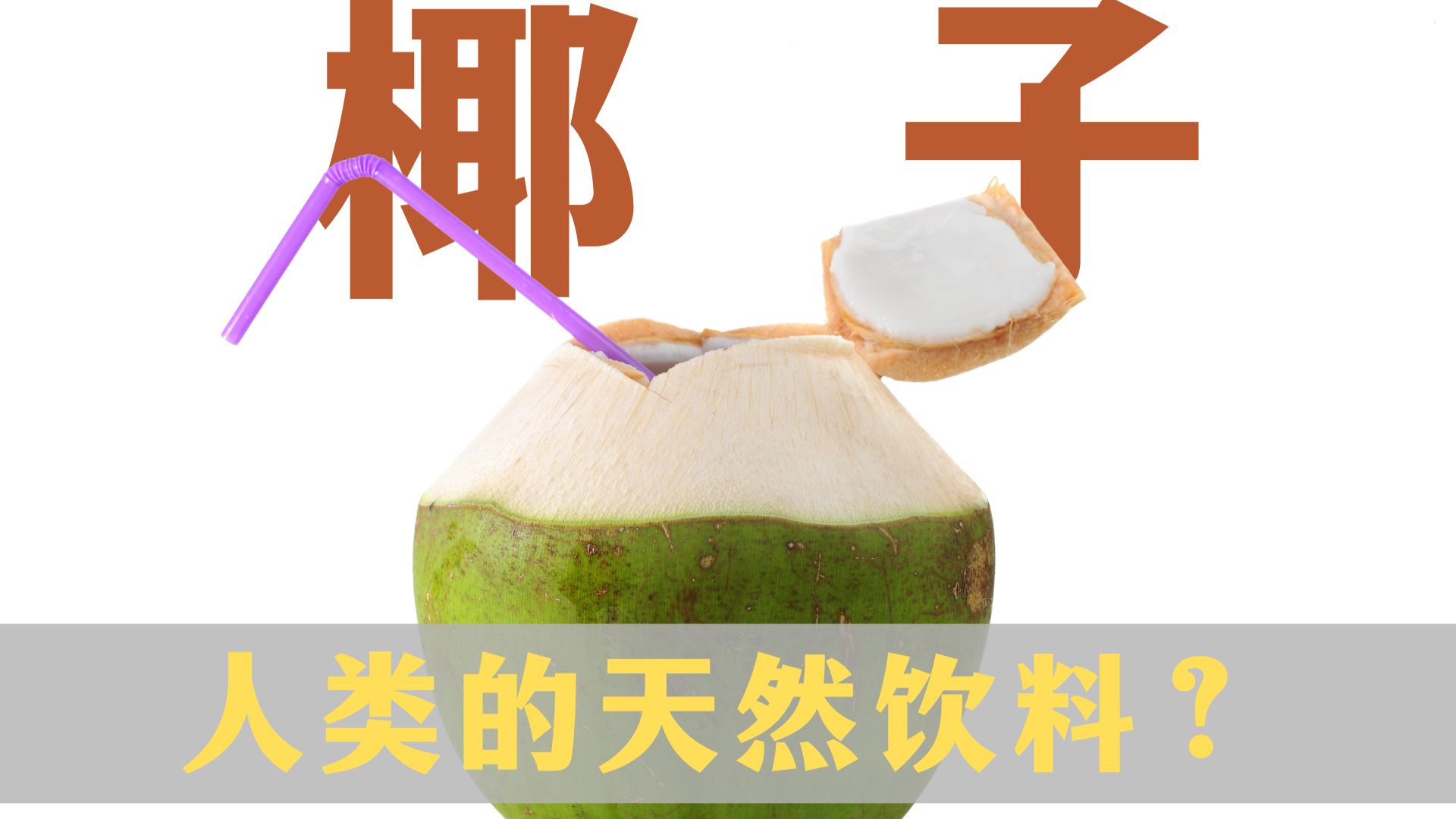 椰子把自己演化的那么好喝，对它有什么好处？