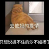 什么是真正的释怀！内容过于真实