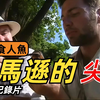 来看食人鱼如何瞬秒一整只鸭