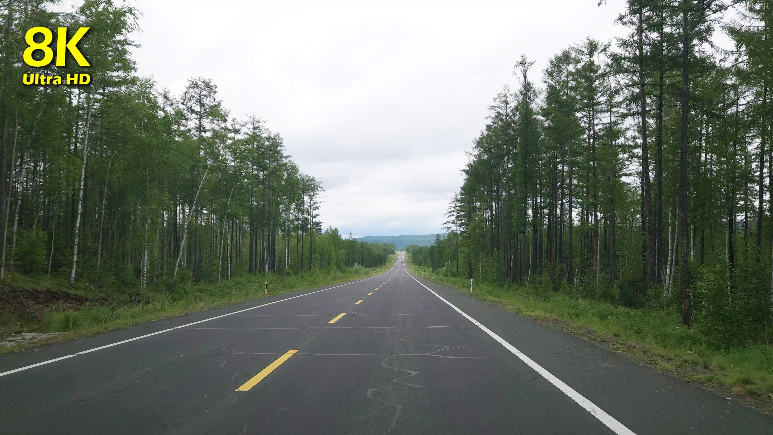 8k超高清-加格达奇到漠河自驾【瓦拉干服务区到阿木尔服务区】，大兴安岭G111加漠公路风景