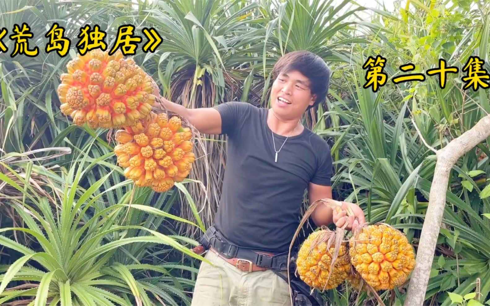 小伙在荒岛上独居 这个季节岛上的野菠萝全部熟透了 您们吃过嘛？