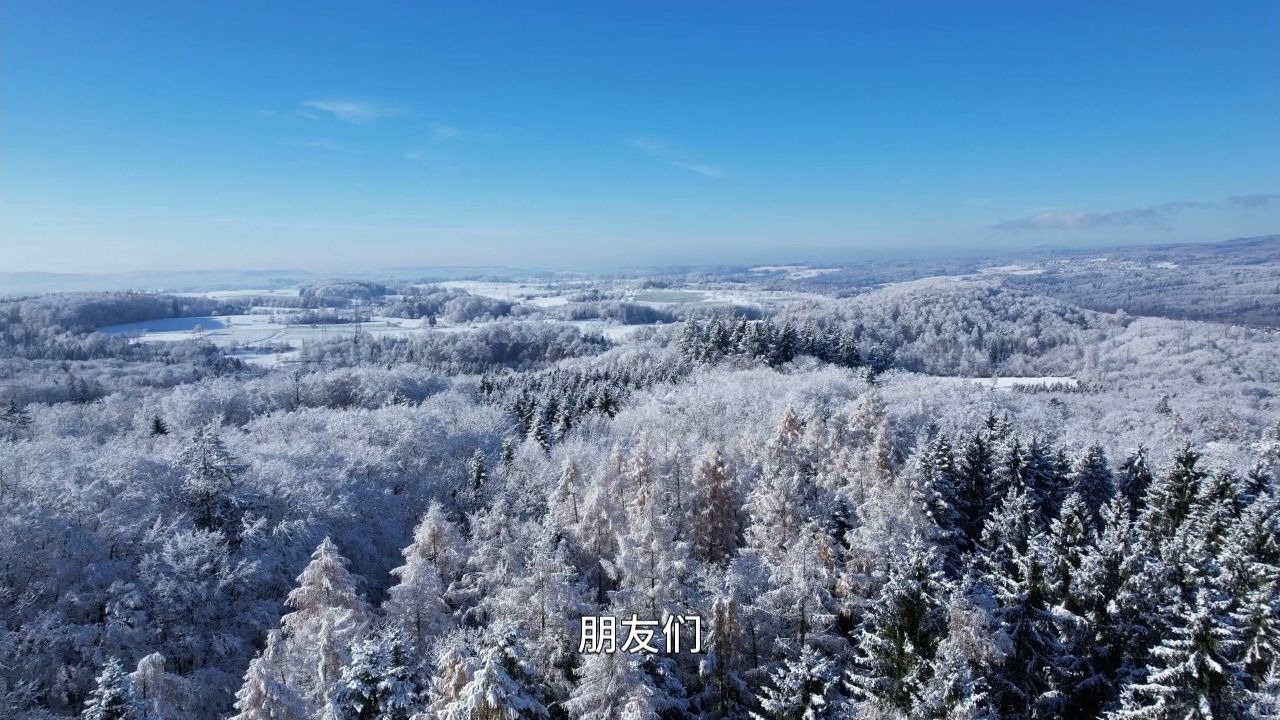 你看到这个视频并非偶然，而是生命在指引你踏入修行的世界！认清自己的本心，洞见自己的本性！