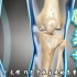 人体膝关节使用保养说明书