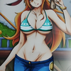 海贼王娜美   神秘画廊可月兑画