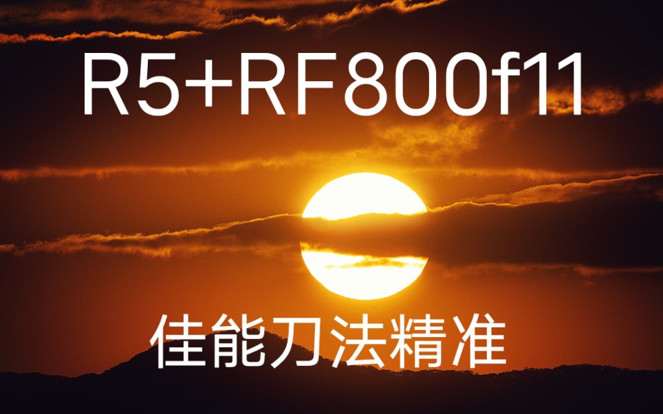 佳能刀法精准，7000元保证让你拍得到，至于画质......（R5+RF800试拍）