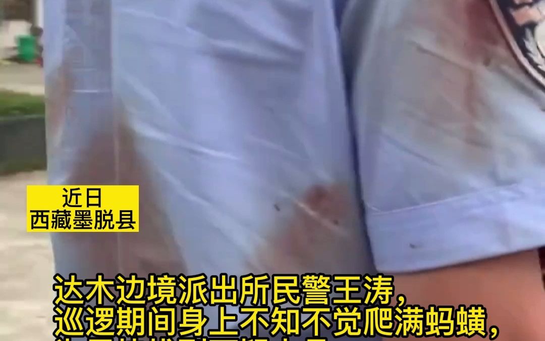 西藏民警巡逻后从身上清出35条蚂蟥，警服变血衣