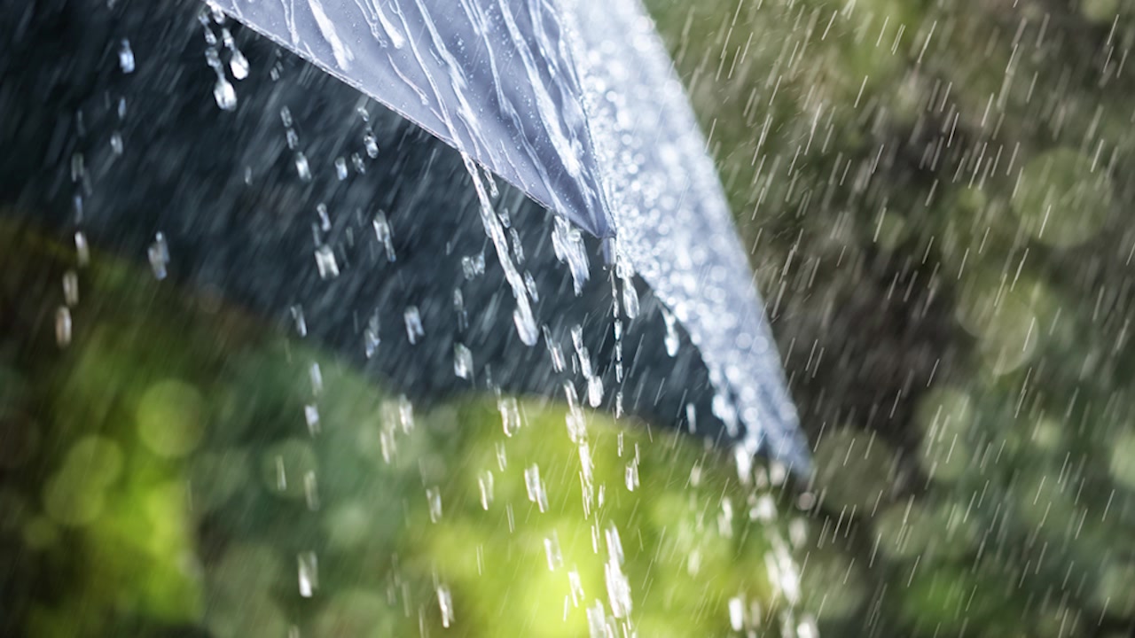 【雨声助眠】放松雨声+雨伞声(耳机必备)自制哔哩哔哩bilibili