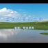 【官方高清KTV版MV】降央卓玛《蓝色的蒙古高原》