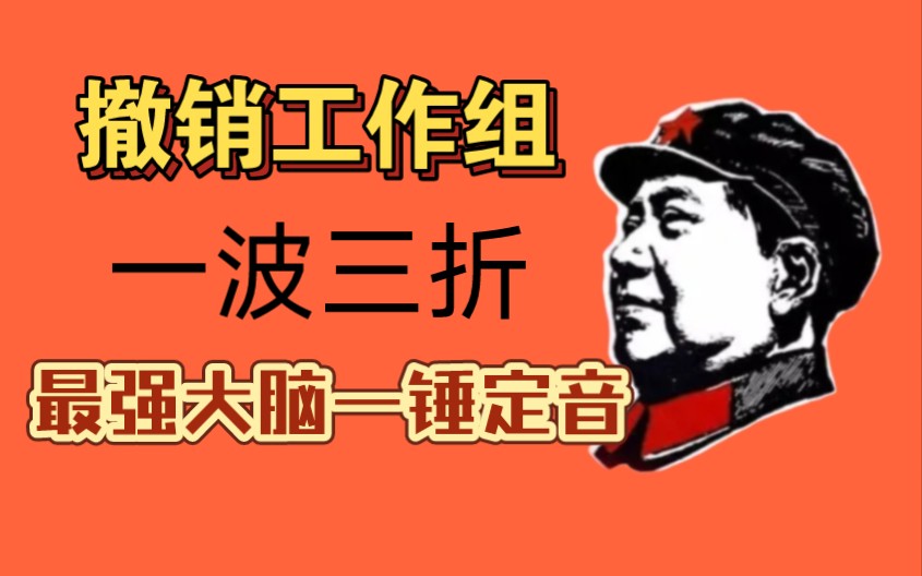 撤销工作组，可谓是一波三折。最强大脑一锤定音！