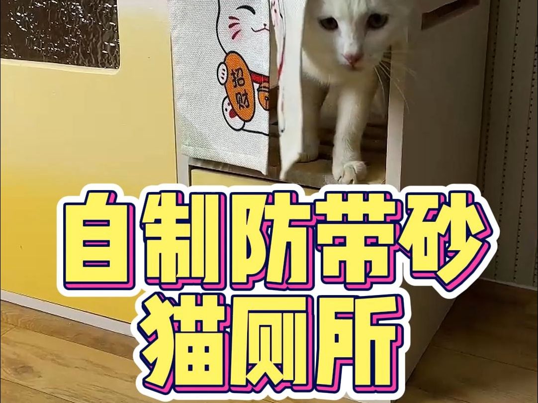 给猫咪做防带砂猫砂盆