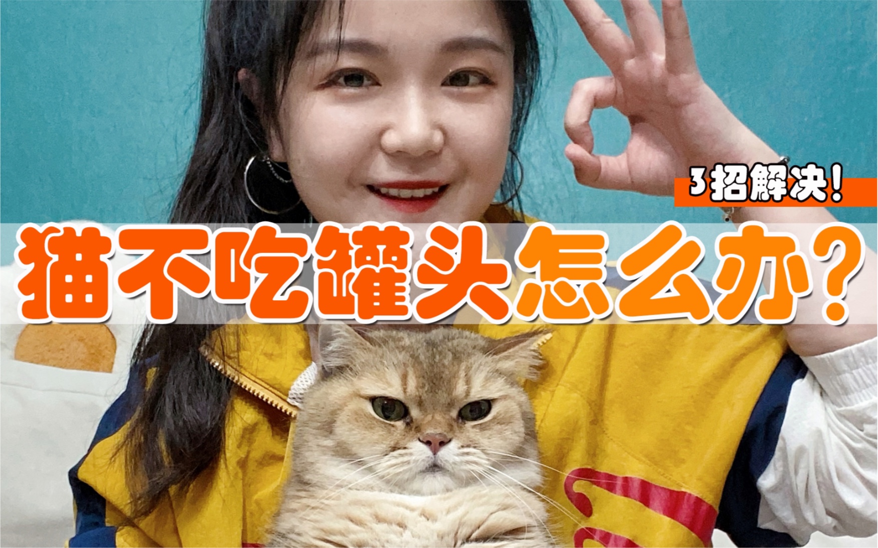 买了罐头但猫不吃？用这3招拯救一下！