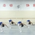 [少儿舞蹈]中级（02胸腰）9中间控腰抱腿