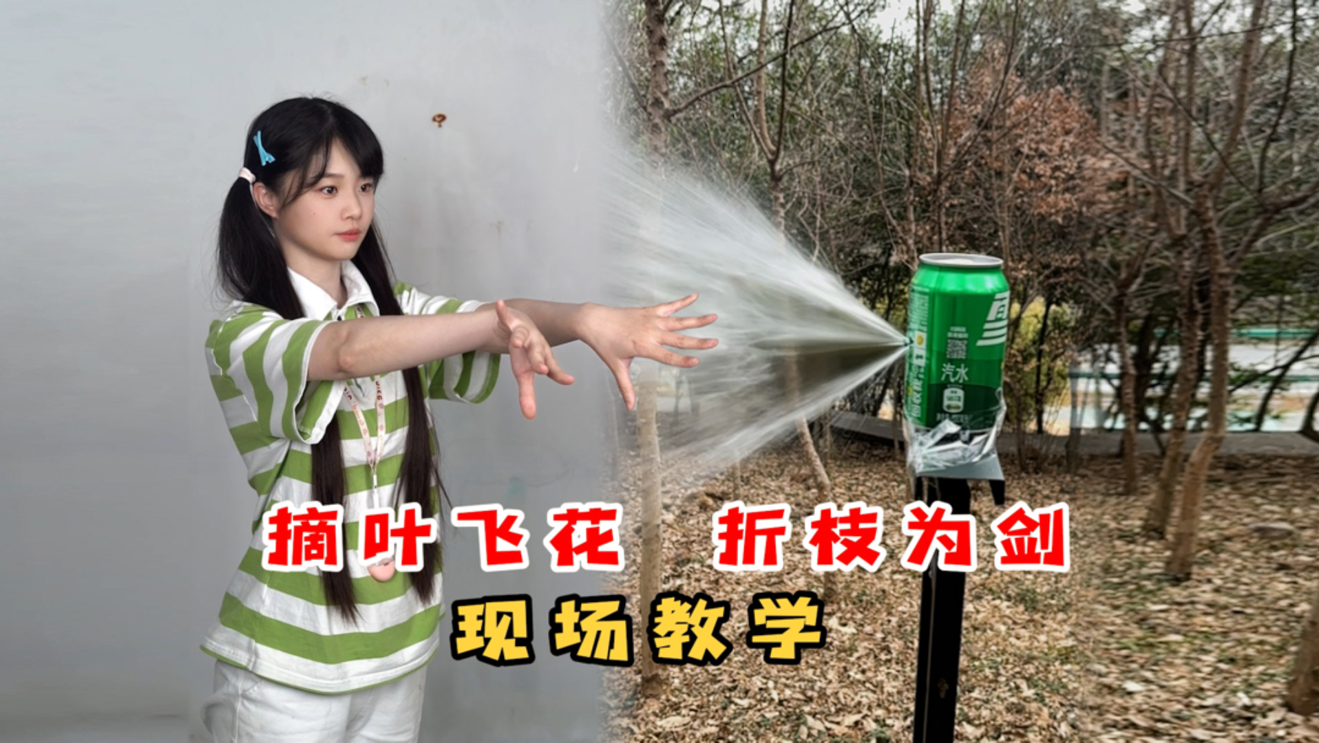 暗器现场教学：摘叶飞花，折枝为箭！