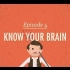 【10分钟心理学速成课】第4集 - 认识你的大脑