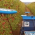 飞行机器农民来了，代替人工精准采摘水果，24小时干不用付工资