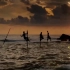 斯里兰卡独树一帜的高跷渔民！渔人与鱼群的相处之道！