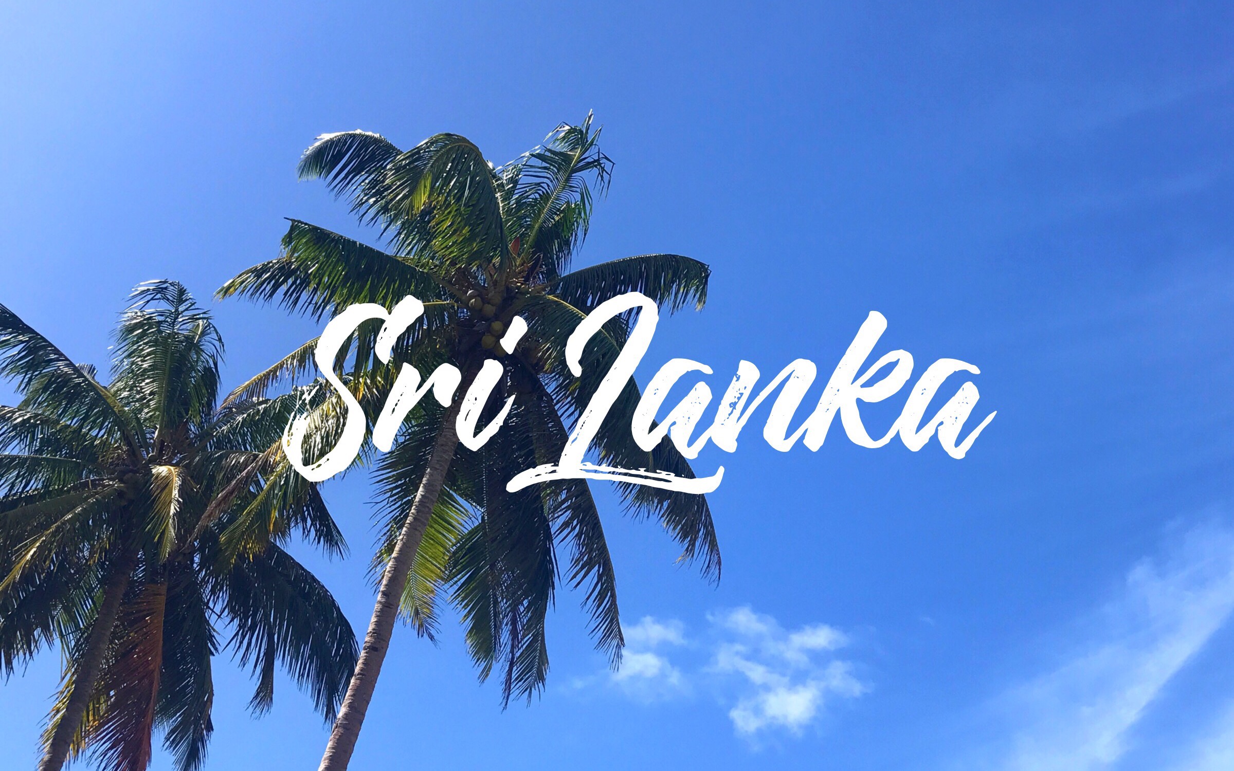 vlog | sri lanka (part 1)