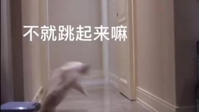 ed089c3da48c35147bc910ad5247b0647e67e691.jpg@280w_158h_1c_100q.jpg