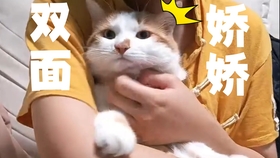 ed0cb178ed57f4fa92e28897daff49ccf16152e3.jpg@280w_158h_1c_100q.jpg