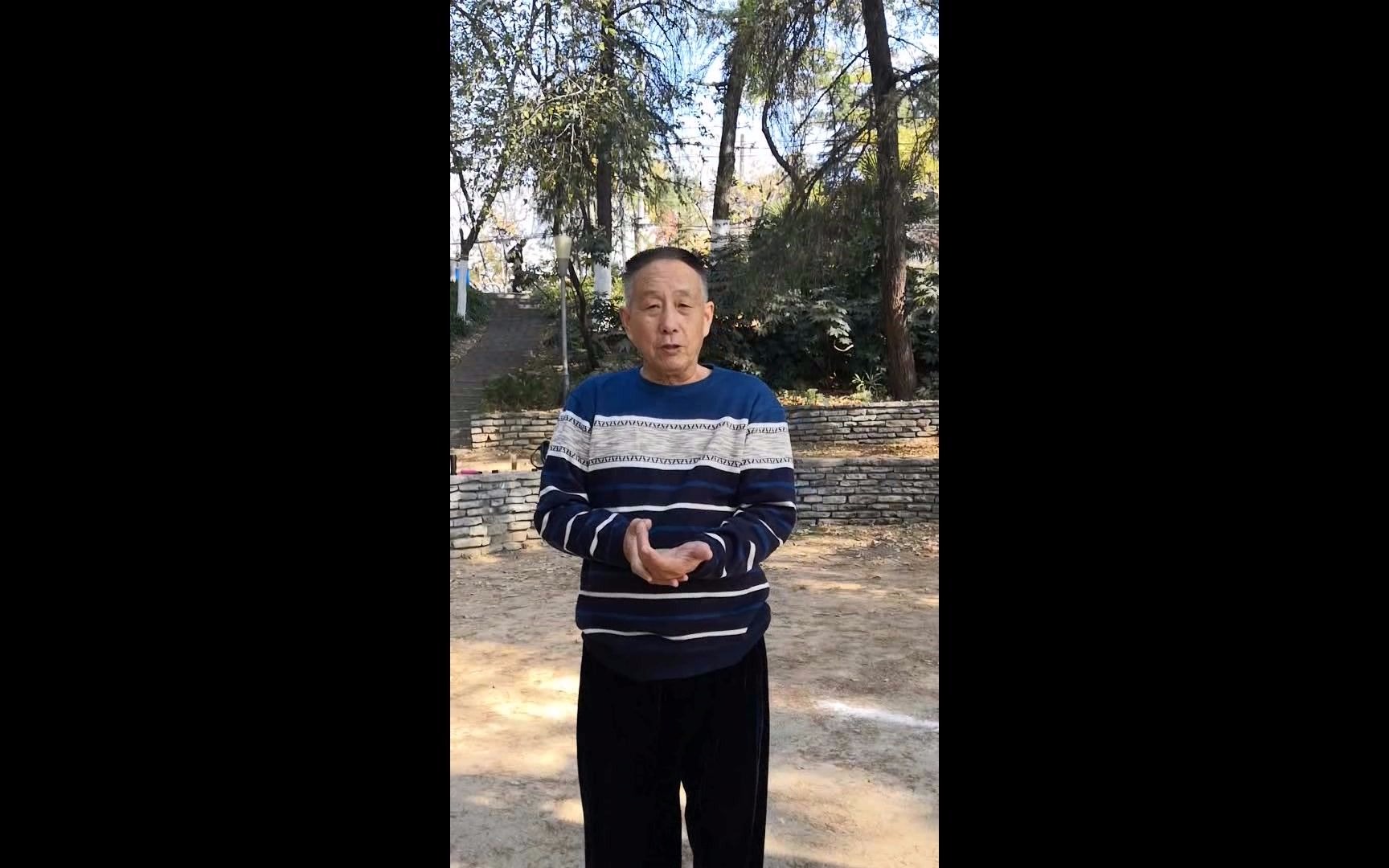 合肥心意六合拳名家张宁卫老师讲授心意十大形龙形