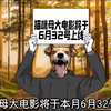 你们绝对刷到过的起号视频