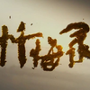 CCTV法制节目《忏悔录》2017合集（更至12月